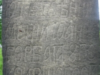 Bortne (45)