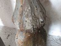Gwozdzianka (89)