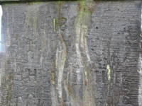 Jablonycia (55)