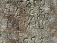 Macyna (107)