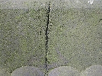 RopicaRuska (100)