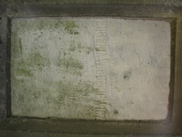 rychwald (73)