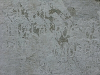 rychwald (5)