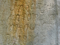 ZawadkaRym1 (12)