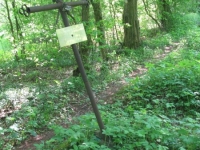 ZawadkaRym2 (15)