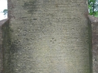 Ripnyk (146)