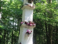 WolaJsienicka (10)