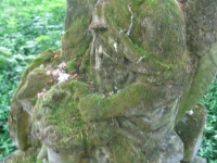 Dolyny (37)