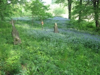 WolaCieklinska (112)