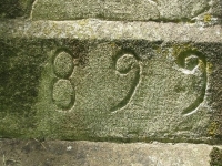 Berest (38)