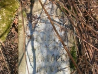 TROJCZYCE (29)