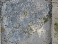 Krasna_063