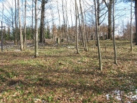 Krasna_228