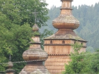Kwiaton (42)