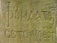 Kwiaton (134)