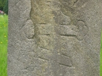 Leszczyny (16)