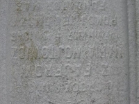 Leszczyny (42)