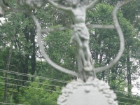 Leszczyny (23)