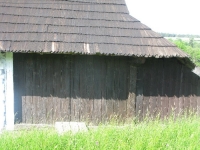 Nowycia (226)