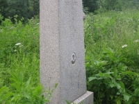 Skwirtne (87)