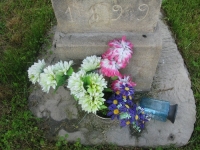 Stawysza (11)