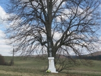 Oslavytsia_01