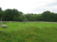 BLICHNARKA (60)