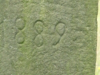 KONECZNA (30)