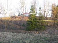 dudynci_01