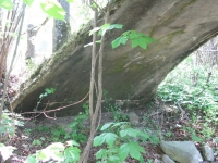 Malastiv (66)