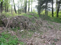 Regietów (8)