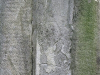 Regietów (105)