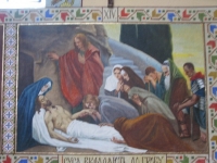 OPARIVKA (81)