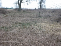 Busivno (49)