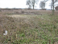 Busivno (5)