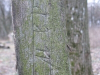 Khutche (21)