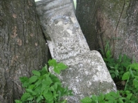 Kobylnytsia Voloska (25)