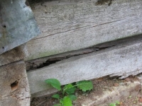 Piatkowa_cerkiew (29)