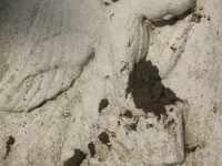 Rzeczyca (17)