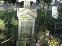 Rzeczyca (53)