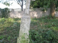 Rzeczyca (55)