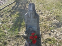 SAM_0803