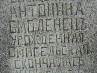 Chesnyky-106