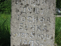 Chesnyky-15