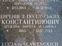 Sianik-29