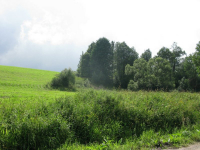Zubensko-16