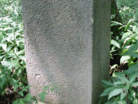 Zhydivske-29
