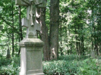 Zhydivske-43