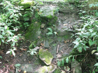 Zhydivske-9