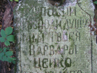 Mieniany-4
